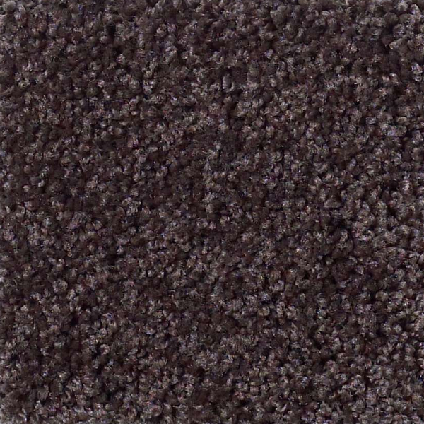 Shaw Floors My Choice III Urban Loft SHAW