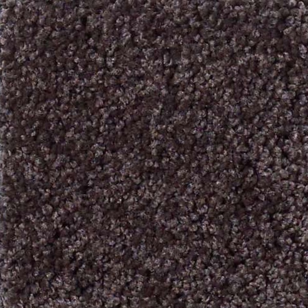 Shaw Floors My Choice I Urban Loft SHAW