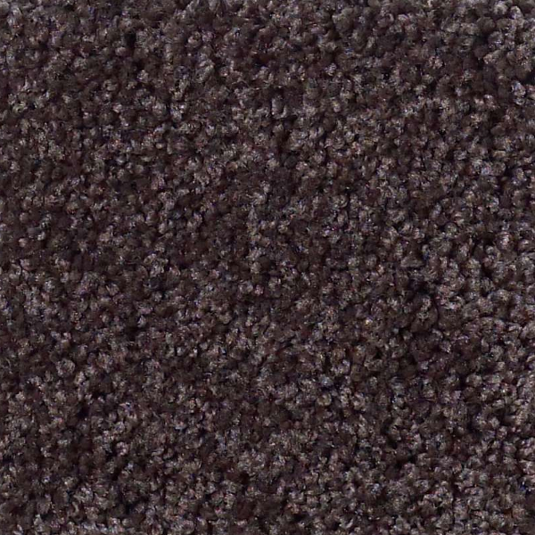 Shaw Floors My Choice II Urban Loft SHAW