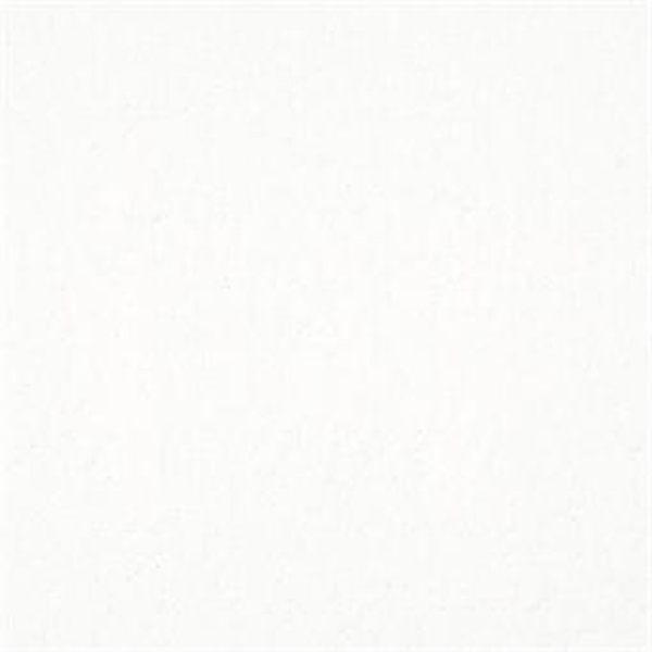 Masland Carpets Matisse Ultra White Masland