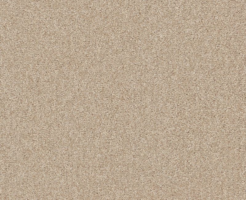 Shaw Floors Your Comfort I Sunkissed SHAW