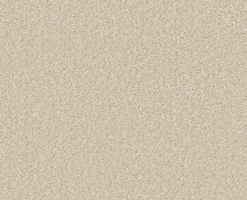 Shaw Floors Your Comfort I Vintage Quilt SHAW