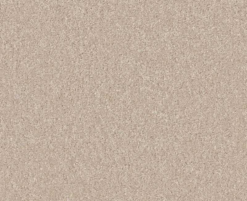 Shaw Floors Your Comfort I Happy Place SHAW