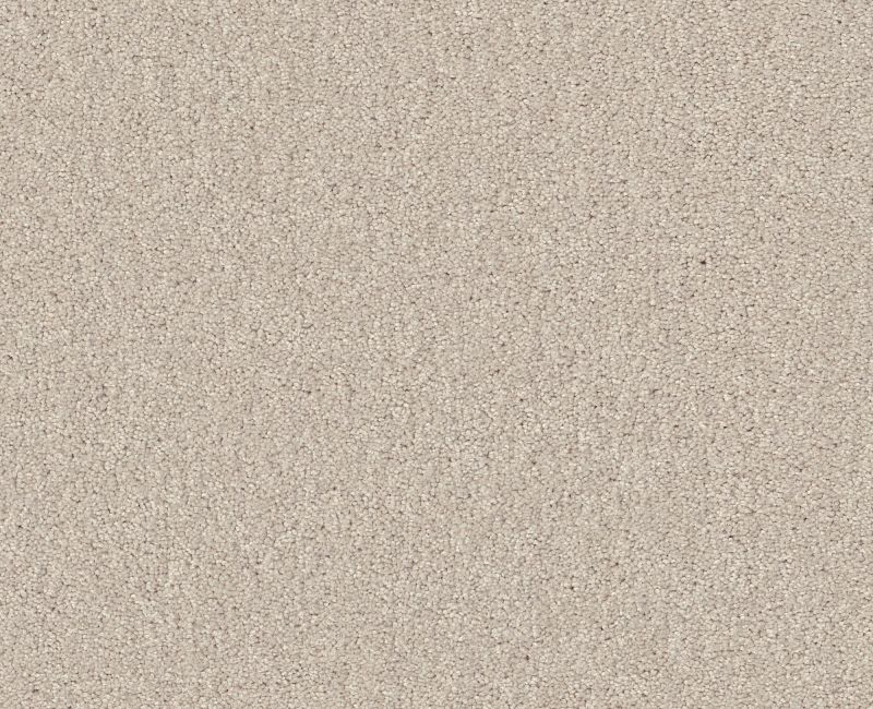 Shaw Floors Your Comfort I Homemade Ice Cream SHAW