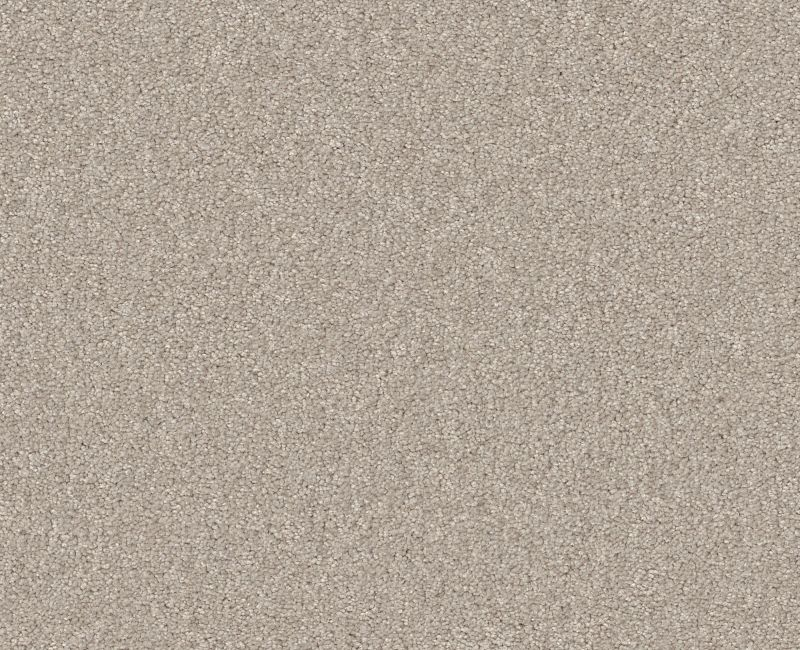 Shaw Floors Your Comfort I Sand Castle SHAW