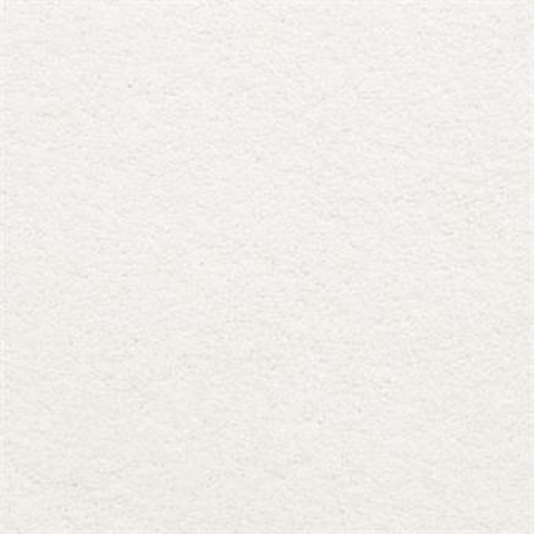 Masland Carpets Knockout Pure Masland