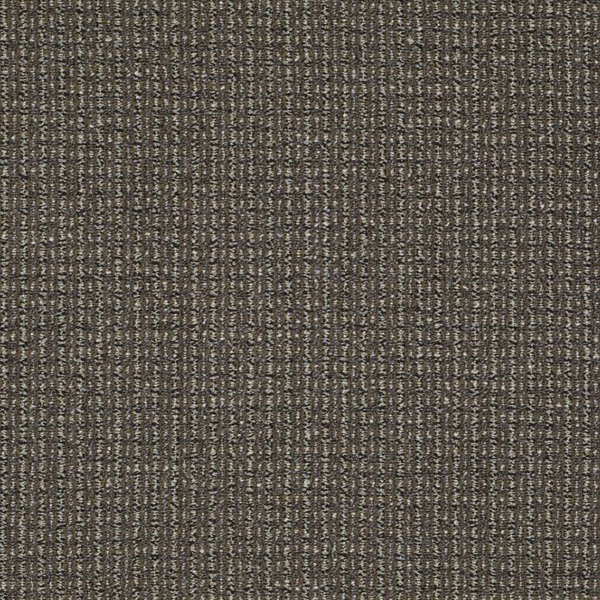 Philadelphia Commercial On The Move On The Nose Shaw