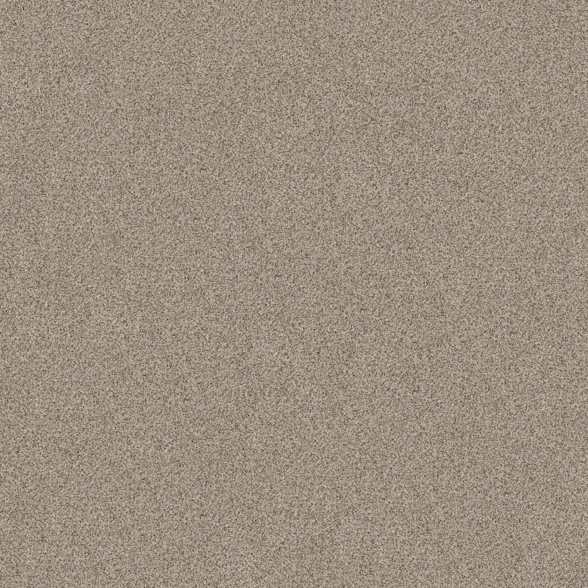 Shaw Floors Canyon Lake Eclipse SHAW