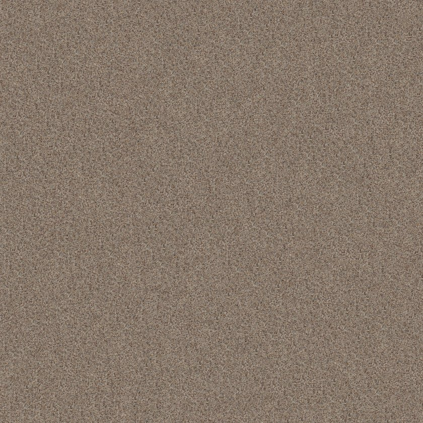 Shaw Floors Canyon Lake Mesa Taupe SHAW
