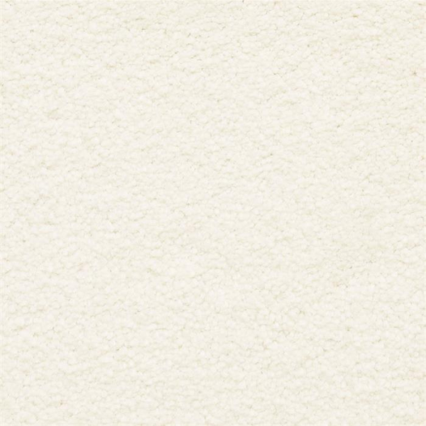 Masland Carpets Ravishing Tantalizing Masland