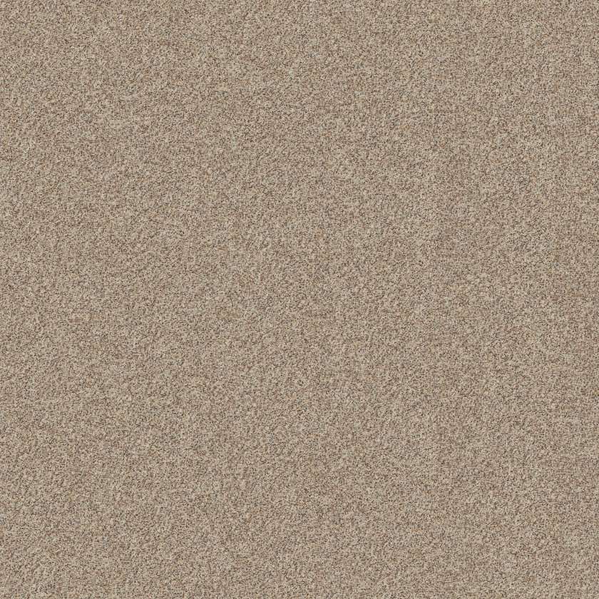 Shaw Floors Canyon Lake Calm Ivory SHAW