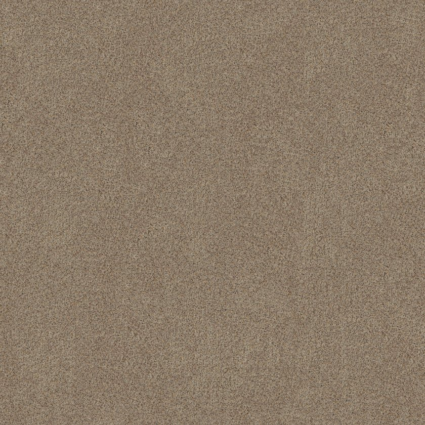 Shaw Floors Canyon Lake Sheffield SHAW