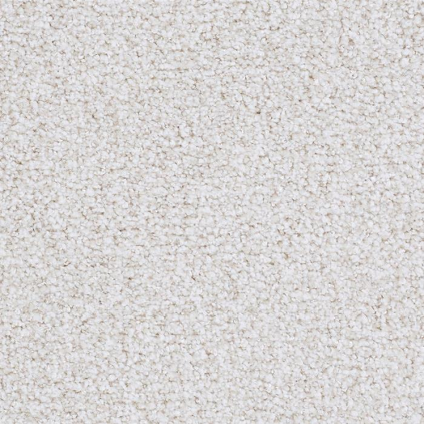 Masland Carpets St Augustine Trustworthy Masland