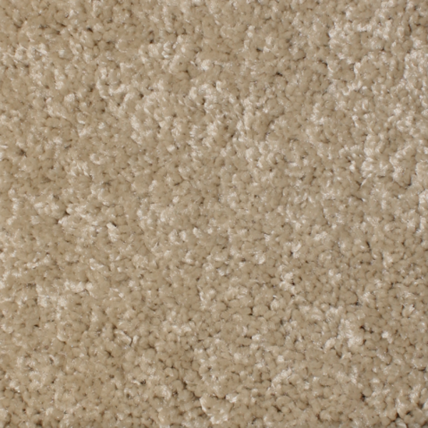 Phenix Carpets First Light MO Measurement PHENIX