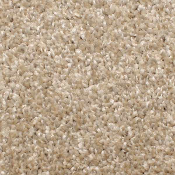 Phenix Carpets Touchstone MO Misty Air PHENIX