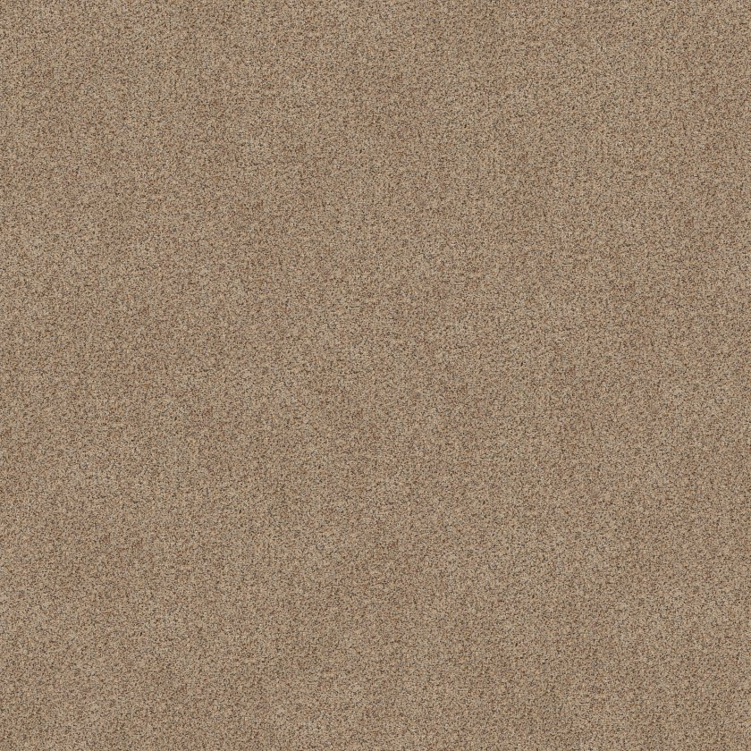 Shaw Floors Canyon Lake Dogwood SHAW