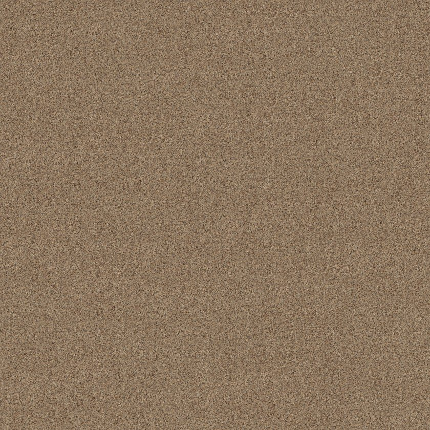 Shaw Floors Canyon Lake Terrazzo SHAW