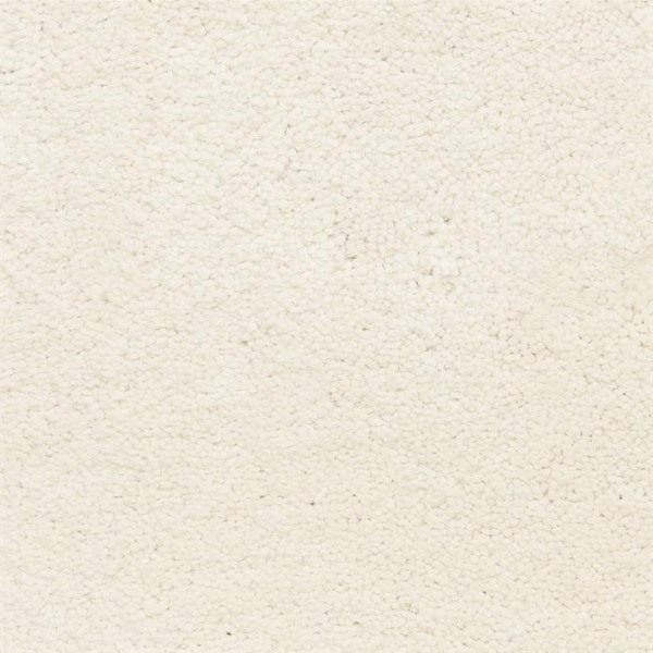 Masland Carpets Ravishing Glamorous Masland