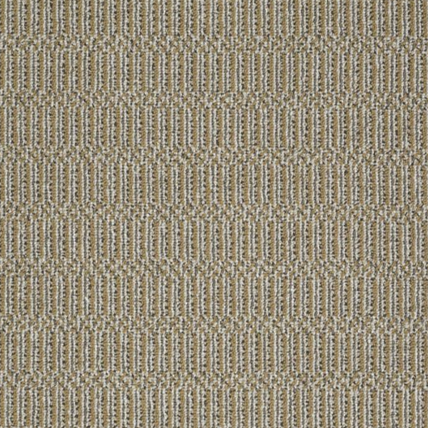 Philadelphia Commercial On Site Right On Shaw