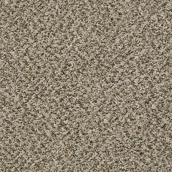 Shaw Floors Sensational River Sand SHAW
