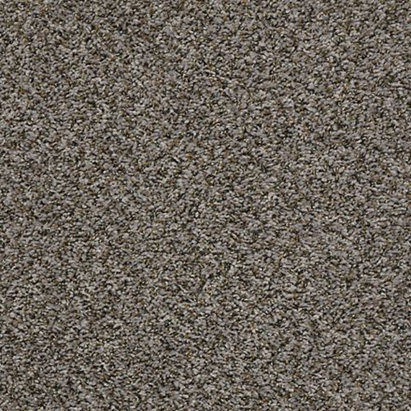 Shaw Floors Sensational Taupe SHAW