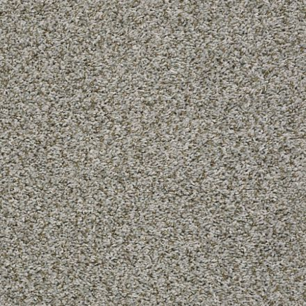 Shaw Floors Sensational Driftwood SHAW