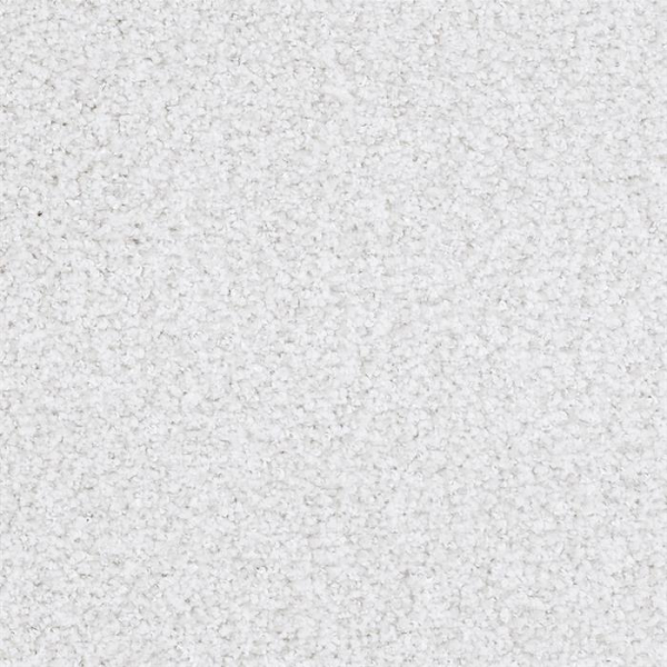 Masland Carpets St Augustine Forever Masland