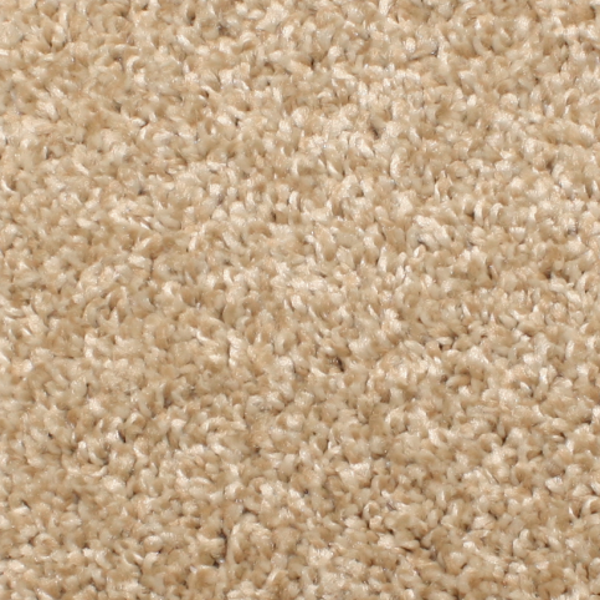 Phenix Carpets Touchstone MO Canvas PHENIX