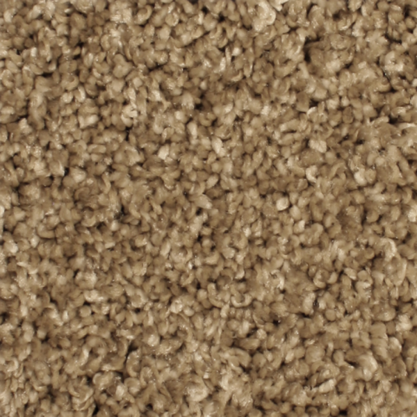 Phenix Carpets Paradox Plantation PHENIX