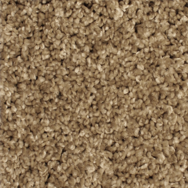 Phenix Carpets Paradigm MO Plantation PHENIX