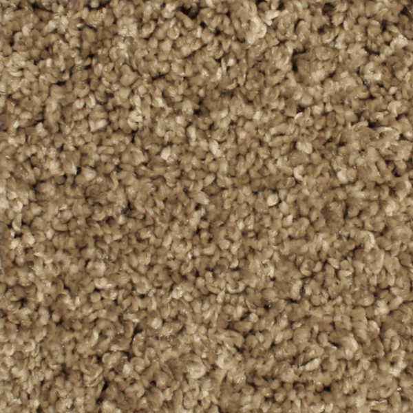 Phenix Carpets Paragon MO Plantation PHENIX