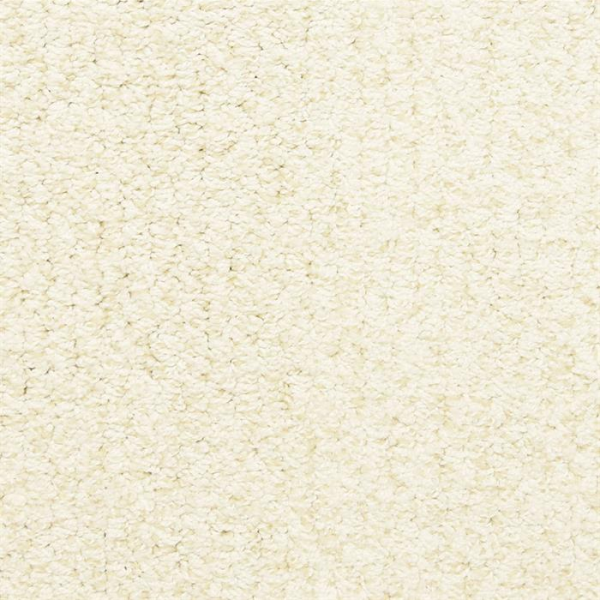 Masland Carpets Sea Grass White Cloud Masland