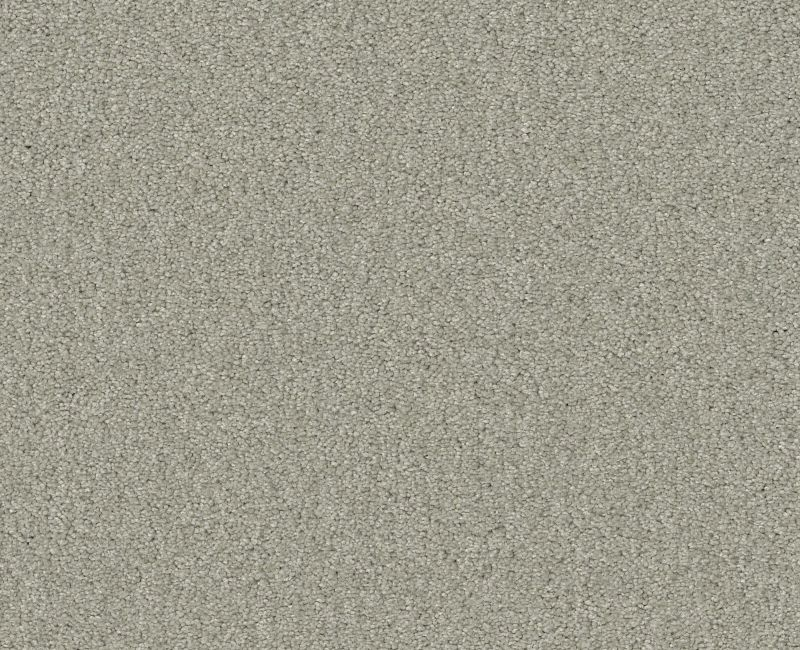 Shaw Floors Your Comfort I Willow Tree SHAW