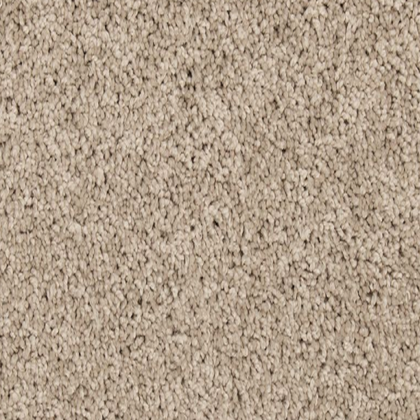 Mohawk Carpet Renovate I 12 Birdbath Mohawk