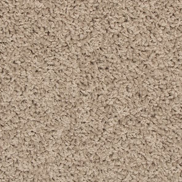 Mohawk Carpet Revive Birdbath Mohawk