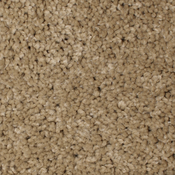 Phenix Carpets Daybreak MO Energy PHENIX