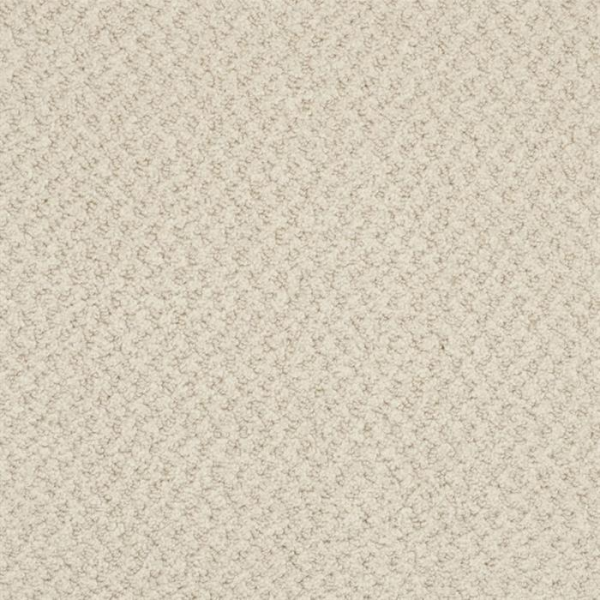 Masland Carpets New Hope Moonbeam Masland