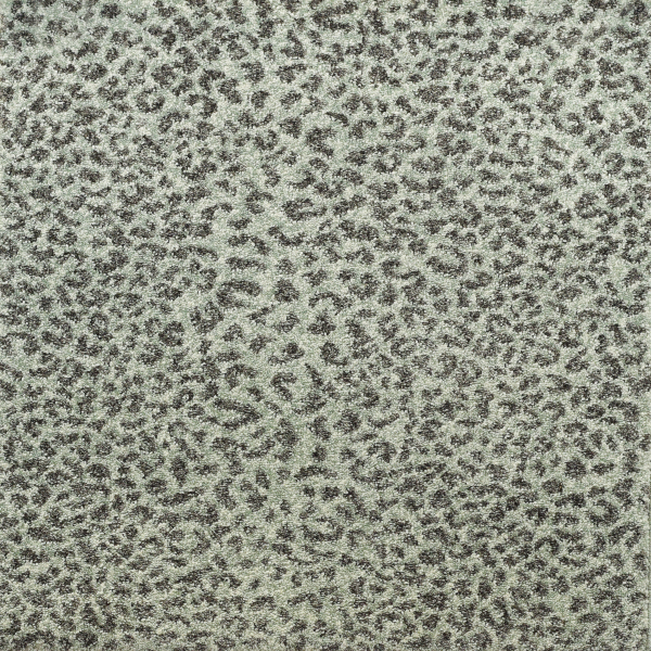 Kane Carpet Ceremony Etosha KANE