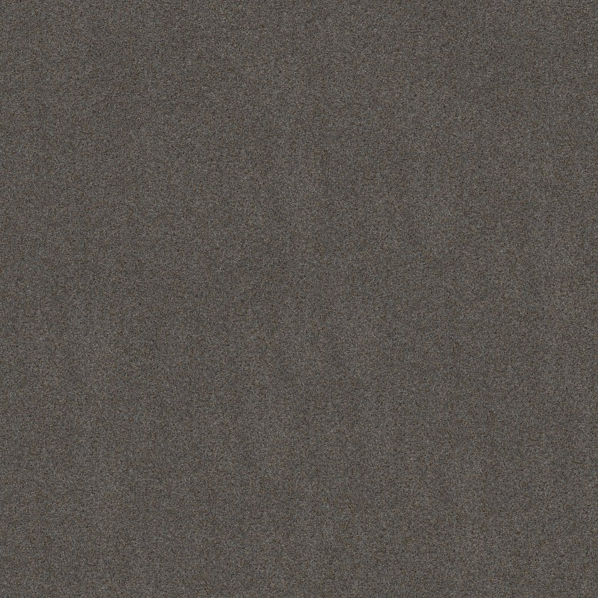 Shaw Floors Canyon Lake Great Falls SHAW