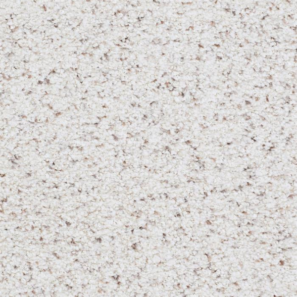 Masland Carpets St Augustine Absolute Masland