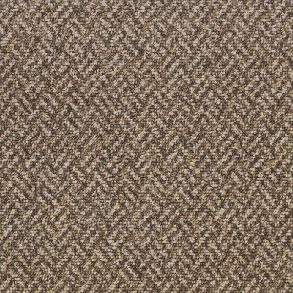 Kraus Commercial Archive Ancient Scroll KRAUS