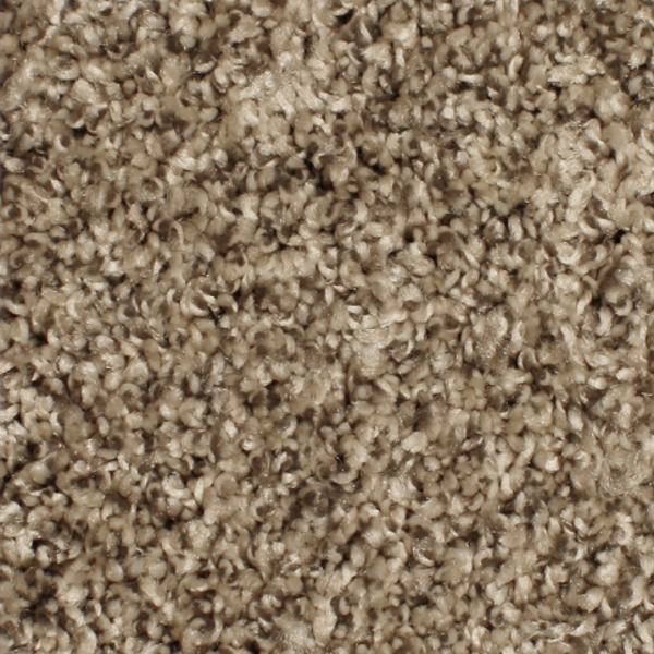 Phenix Carpets Paragon MO Sealskin PHENIX