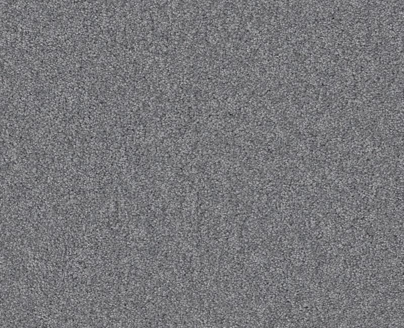 Shaw Floors Your Comfort I Dolphin Sighting SHAW