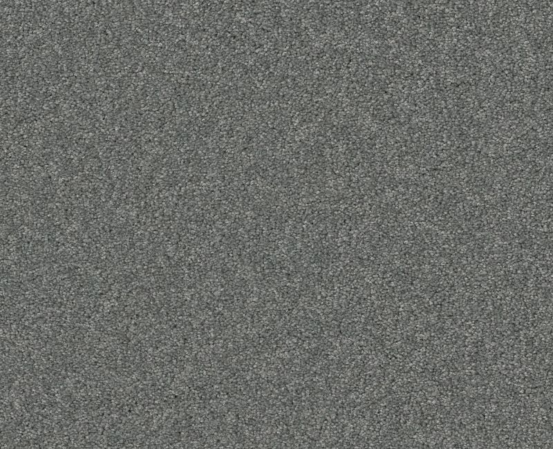 Shaw Floors Your Comfort I Lighthouse Shadows SHAW