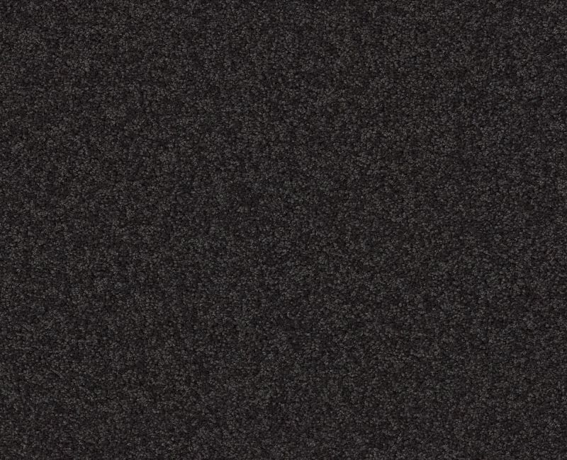 Shaw Floors Your Comfort I Movie Night SHAW