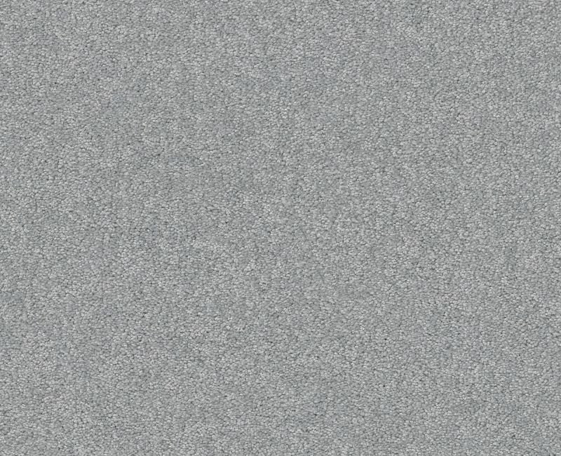 Shaw Floors Your Comfort I Polished Silver SHAW