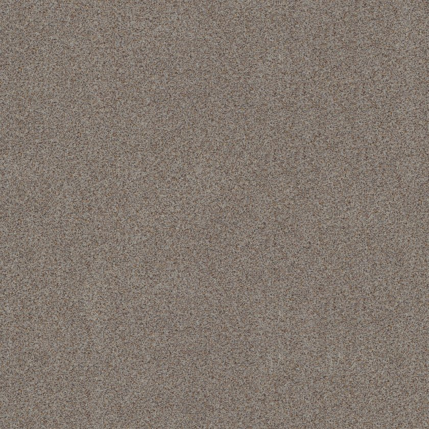 Shaw Floors Canyon Lake Distant Star SHAW