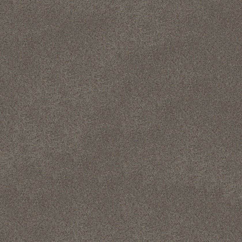 Shaw Floors Canyon Lake Slate SHAW