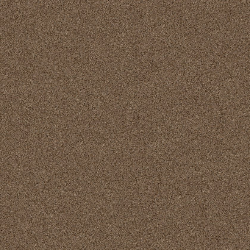 Shaw Floors Canyon Lake Stone Age SHAW