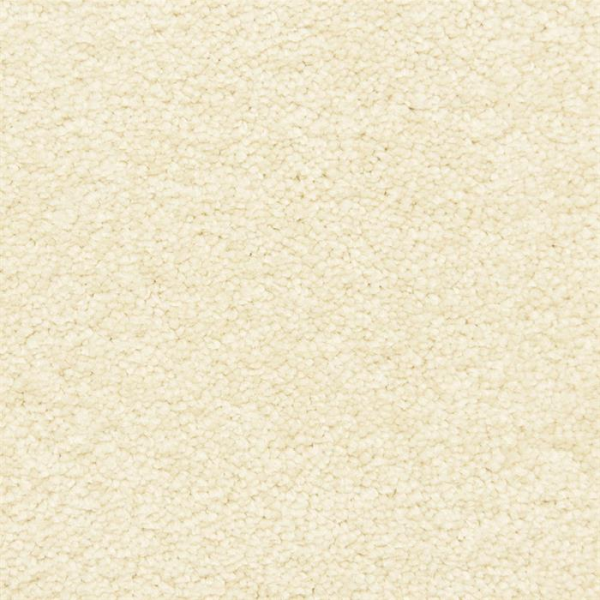 Masland Carpets Vero Beach Seed Masland